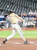 Photo from the gallery "Basha vs. Perry (Chase Field)"