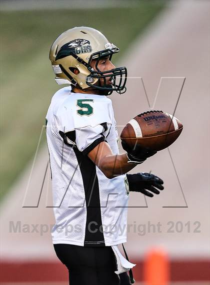 Thumbnail 2 in Birdville @ Carter-Riverside photogallery.