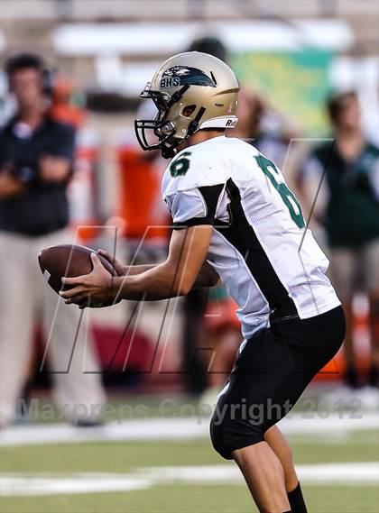 Thumbnail 3 in Birdville @ Carter-Riverside photogallery.