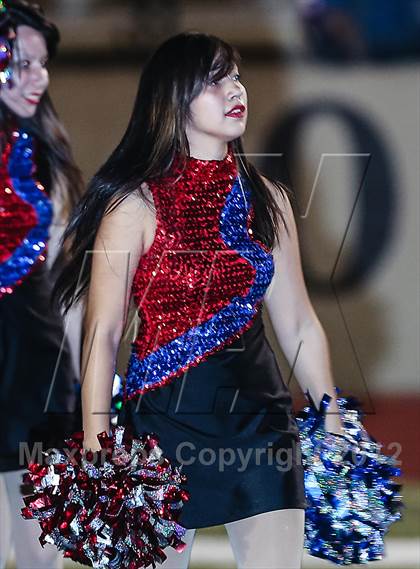 Thumbnail 1 in Birdville @ Carter-Riverside photogallery.