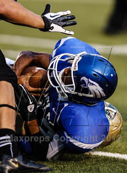 Thumbnail 1 in Birdville @ Carter-Riverside photogallery.