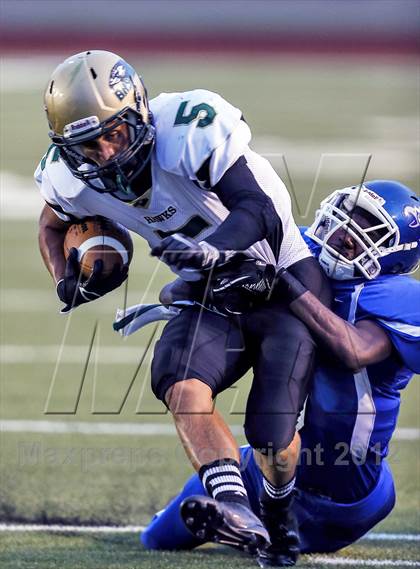 Thumbnail 3 in Birdville @ Carter-Riverside photogallery.