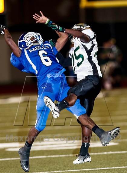 Thumbnail 1 in Birdville @ Carter-Riverside photogallery.