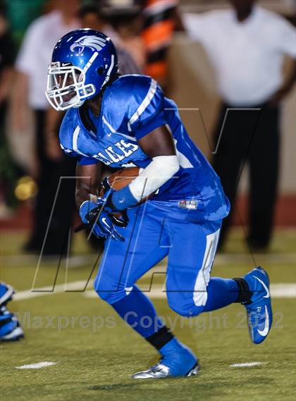 Thumbnail 3 in Birdville @ Carter-Riverside photogallery.
