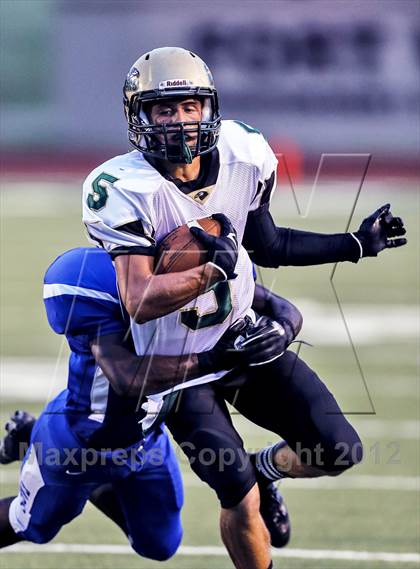Thumbnail 1 in Birdville @ Carter-Riverside photogallery.
