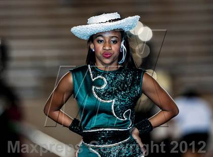 Thumbnail 2 in Birdville @ Carter-Riverside photogallery.