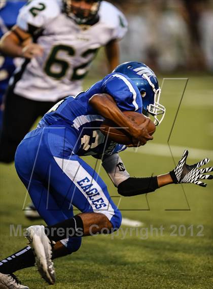 Thumbnail 2 in Birdville @ Carter-Riverside photogallery.