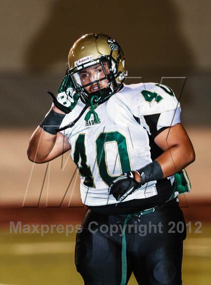 Thumbnail 2 in Birdville @ Carter-Riverside photogallery.
