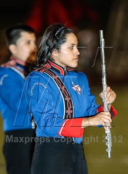 Thumbnail 3 in Birdville @ Carter-Riverside photogallery.