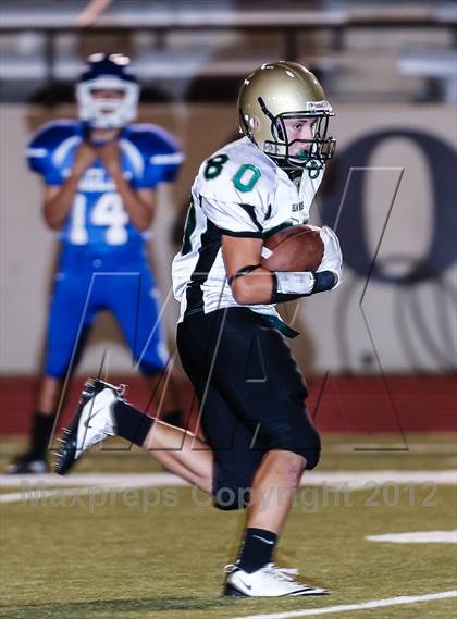 Thumbnail 1 in Birdville @ Carter-Riverside photogallery.