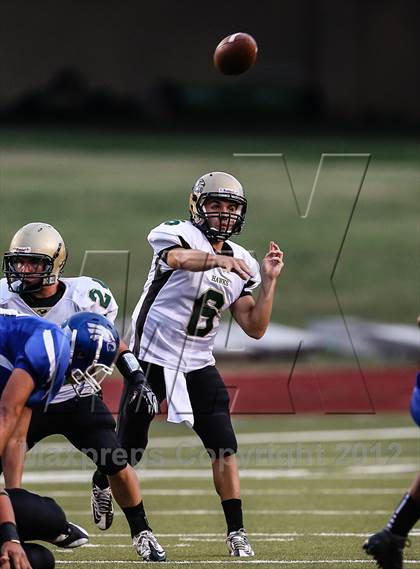 Thumbnail 2 in Birdville @ Carter-Riverside photogallery.
