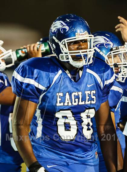 Thumbnail 3 in Birdville @ Carter-Riverside photogallery.