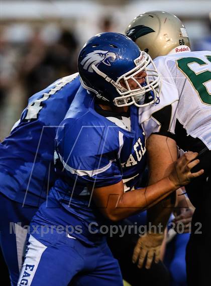 Thumbnail 2 in Birdville @ Carter-Riverside photogallery.