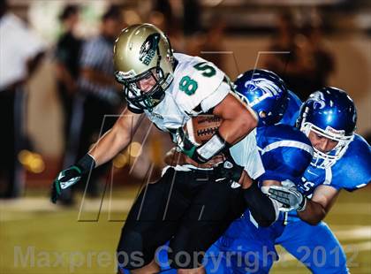 Thumbnail 2 in Birdville @ Carter-Riverside photogallery.
