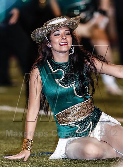 Thumbnail 3 in Birdville @ Carter-Riverside photogallery.