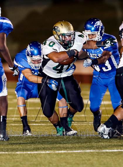 Thumbnail 2 in Birdville @ Carter-Riverside photogallery.