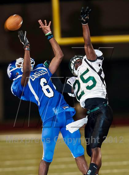 Thumbnail 3 in Birdville @ Carter-Riverside photogallery.