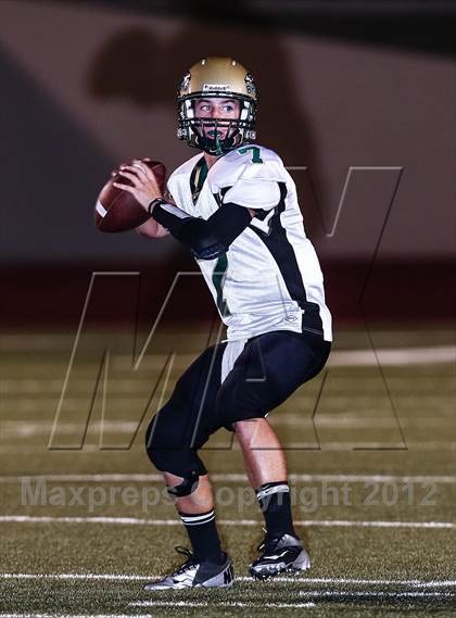 Thumbnail 2 in Birdville @ Carter-Riverside photogallery.