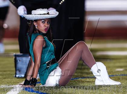 Thumbnail 1 in Birdville @ Carter-Riverside photogallery.