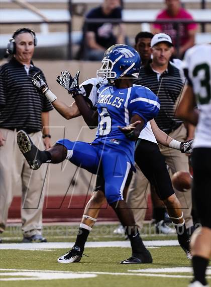 Thumbnail 1 in Birdville @ Carter-Riverside photogallery.