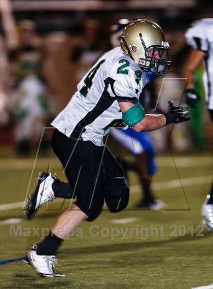 Thumbnail 1 in Birdville @ Carter-Riverside photogallery.