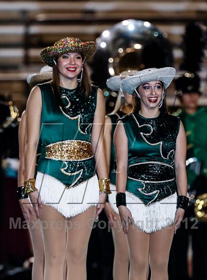 Thumbnail 1 in Birdville @ Carter-Riverside photogallery.