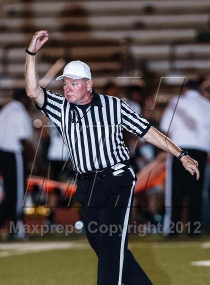 Thumbnail 3 in Birdville @ Carter-Riverside photogallery.