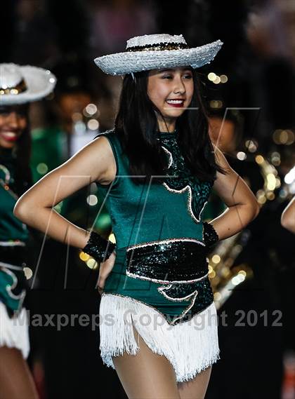 Thumbnail 3 in Birdville @ Carter-Riverside photogallery.