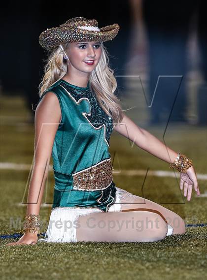 Thumbnail 1 in Birdville @ Carter-Riverside photogallery.