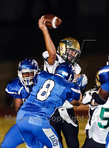 Thumbnail 3 in Birdville @ Carter-Riverside photogallery.