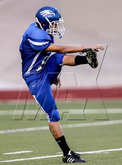 Thumbnail 1 in Birdville @ Carter-Riverside photogallery.