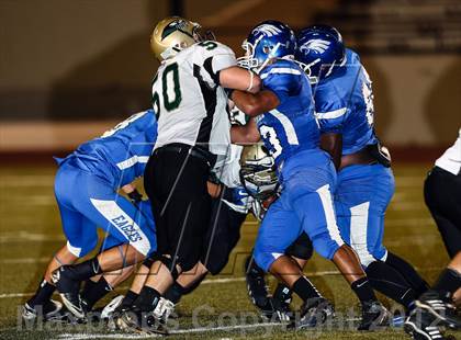 Thumbnail 3 in Birdville @ Carter-Riverside photogallery.