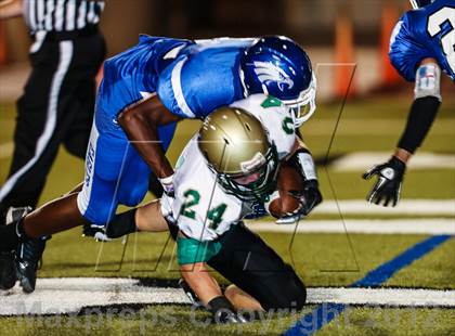 Thumbnail 2 in Birdville @ Carter-Riverside photogallery.