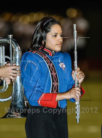 Thumbnail 2 in Birdville @ Carter-Riverside photogallery.