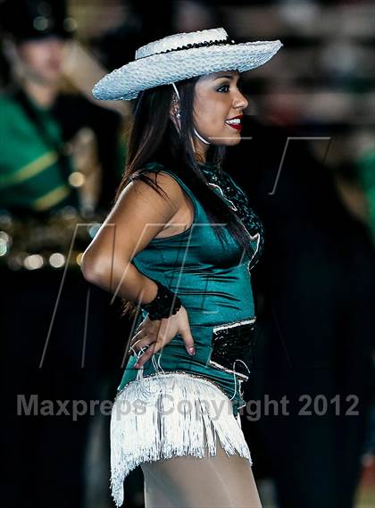 Thumbnail 2 in Birdville @ Carter-Riverside photogallery.