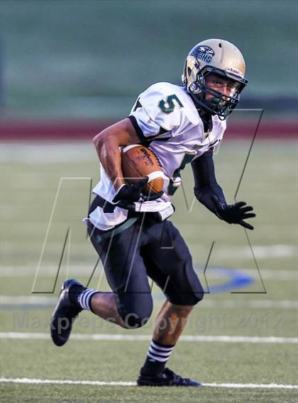Thumbnail 2 in Birdville @ Carter-Riverside photogallery.