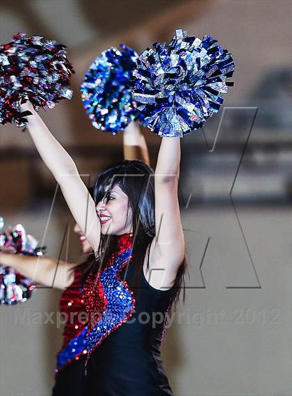 Thumbnail 3 in Birdville @ Carter-Riverside photogallery.