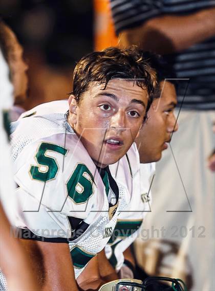 Thumbnail 1 in Birdville @ Carter-Riverside photogallery.