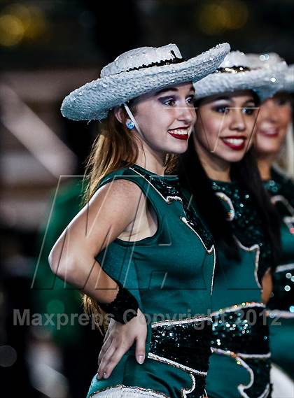 Thumbnail 2 in Birdville @ Carter-Riverside photogallery.