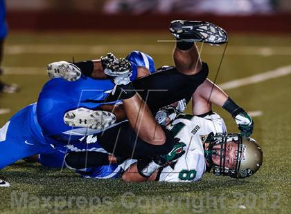 Thumbnail 3 in Birdville @ Carter-Riverside photogallery.