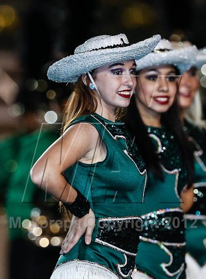 Thumbnail 1 in Birdville @ Carter-Riverside photogallery.