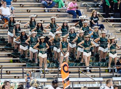 Thumbnail 3 in Birdville @ Carter-Riverside photogallery.
