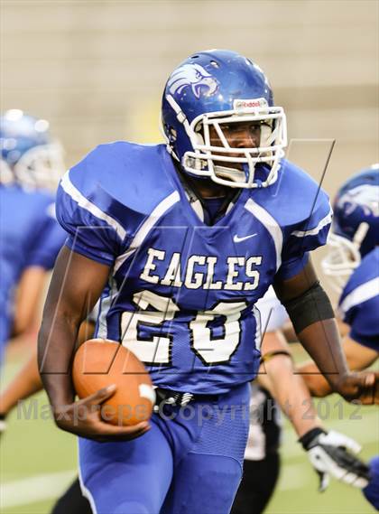 Thumbnail 2 in Birdville @ Carter-Riverside photogallery.