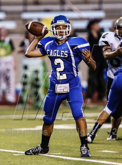 Thumbnail 1 in Birdville @ Carter-Riverside photogallery.