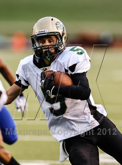 Thumbnail 2 in Birdville @ Carter-Riverside photogallery.