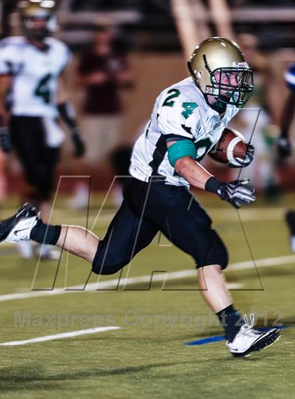 Thumbnail 3 in Birdville @ Carter-Riverside photogallery.