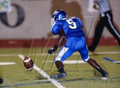 Thumbnail 2 in Birdville @ Carter-Riverside photogallery.