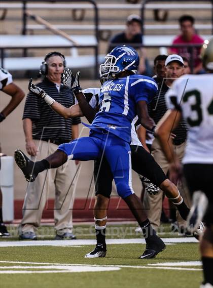 Thumbnail 3 in Birdville @ Carter-Riverside photogallery.