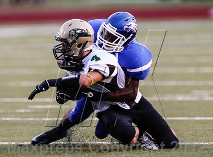 Thumbnail 2 in Birdville @ Carter-Riverside photogallery.