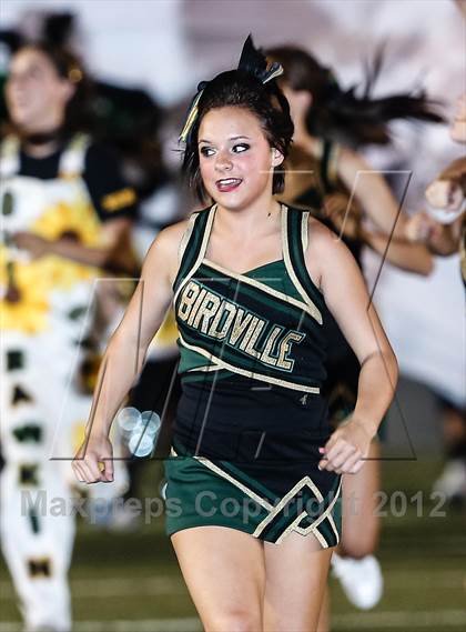 Thumbnail 3 in Birdville @ Carter-Riverside photogallery.